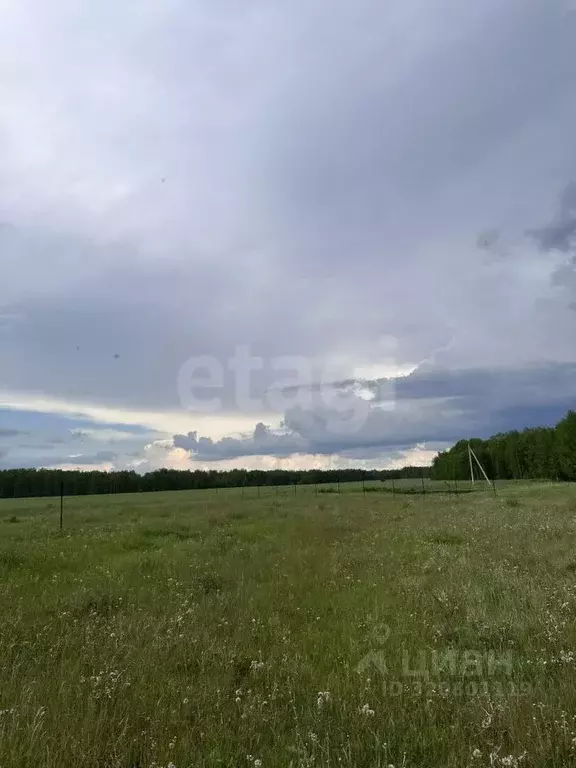 Участок в Курганская область, Кетовский муниципальный округ, КП Лесная ... - Фото 1
