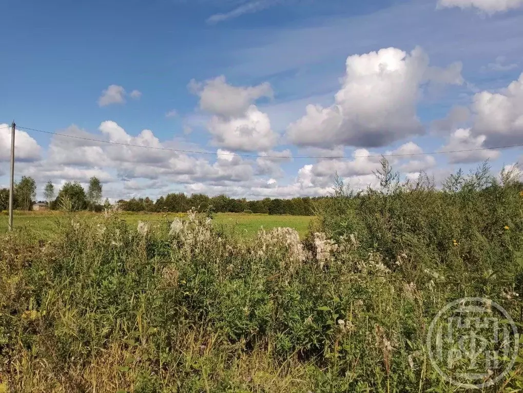 Участок в Ленинградская область, Лужский район, Волошовское с/пос, д. ... - Фото 2