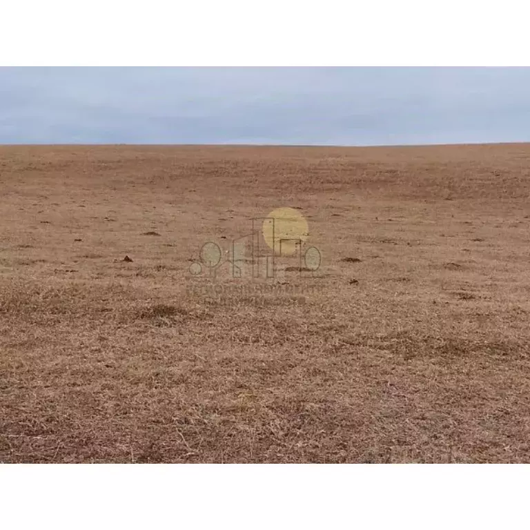 Участок в Иркутская область, Баяндаевский район, с. Тургеневка  (10.0 ... - Фото 1