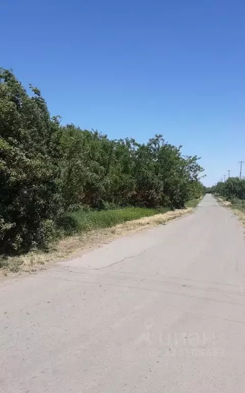 Участок в Ростовская область, Багаевский район, Манычское с/пос, ... - Фото 1