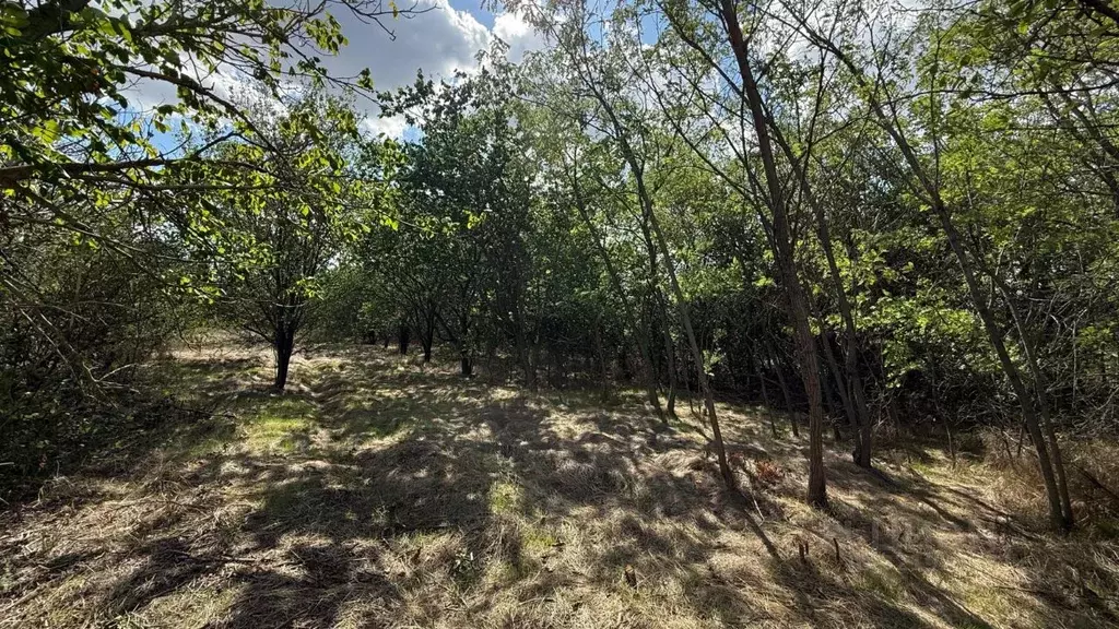 Участок в Ростовская область, Усть-Донецкий район, Мелиховская ст-ца ... - Фото 1