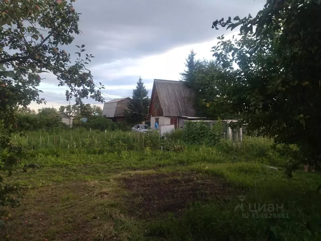 Дом в Алтайский край, Барнаул Декоратор СНТ,  (28 м) - Фото 2