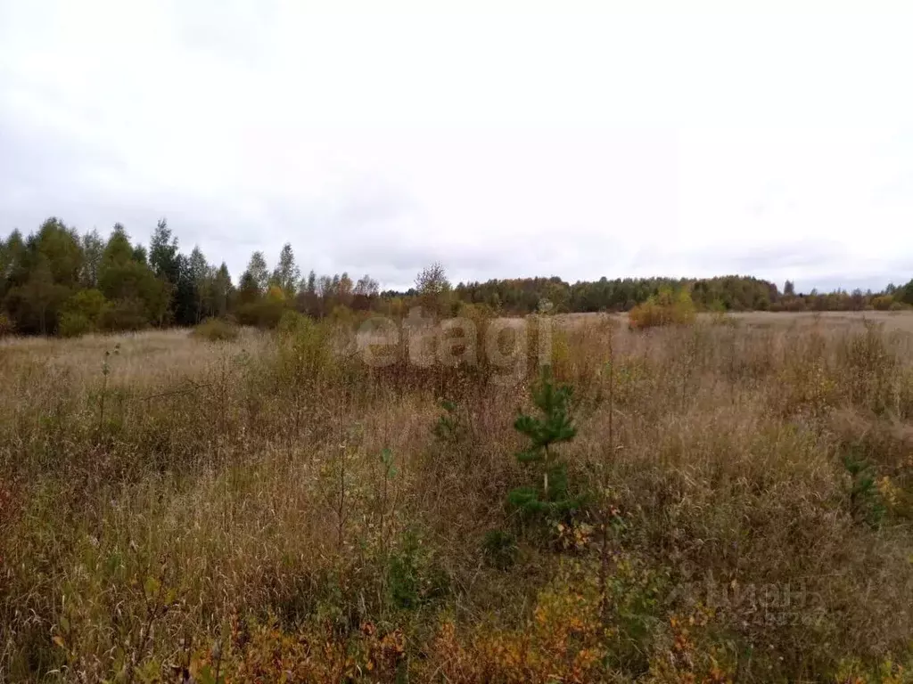 Участок в Вологодская область, Грязовецкий муниципальный округ, ... - Фото 2