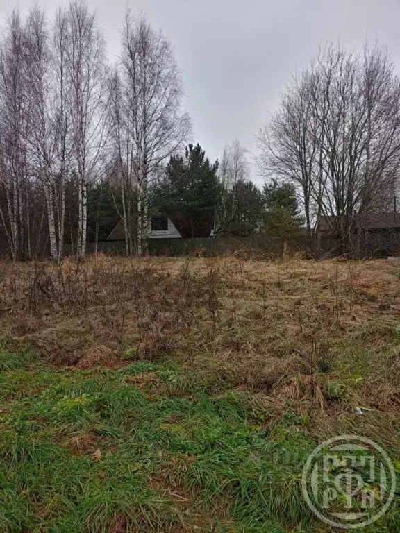 Участок в Ленинградская область, Ломоносовский район, Пениковское ... - Фото 1