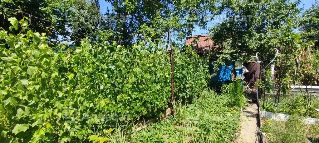 дом в волгоградская область, волгоград дзержинец снт, винновский . - Фото 1