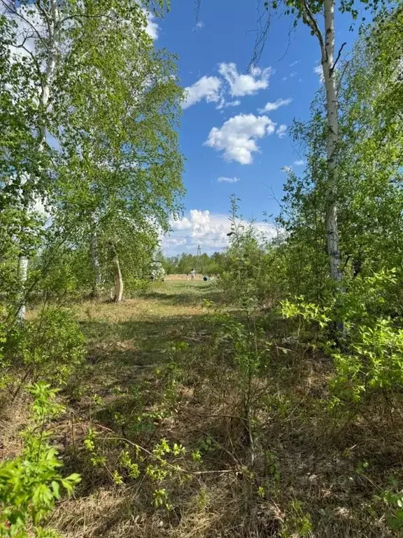 Участок в Саха (Якутия), Якутск ул. Сайдыы, 223 (13.0 сот.) - Фото 2