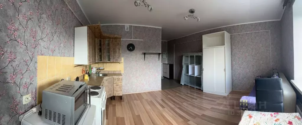 Студия Омская область, Омск Мельничная ул., 87к3 (29.2 м) - Фото 1