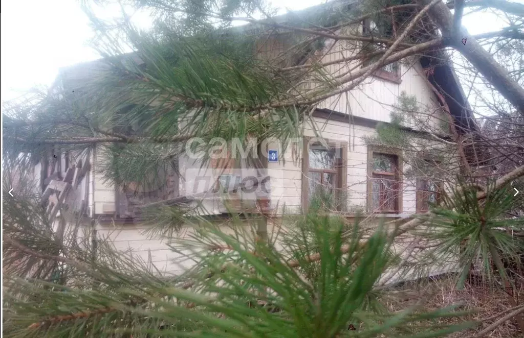 Дом в Вологодская область, д. Мостища 7А (33 м) - Фото 1