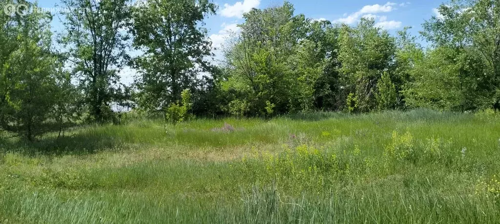Участок в село Квасниковка, улица Дружбы (25 м) - Фото 0