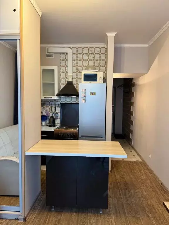 Студия Санкт-Петербург ул. Среднерогатская, 10к1 (22.6 м) - Фото 2