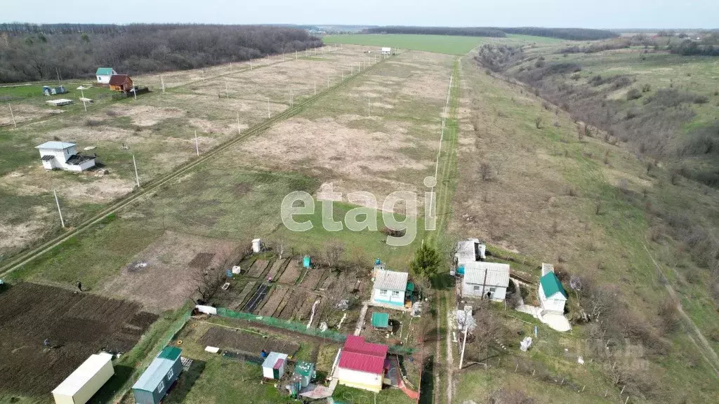 Участок в Воронежская область, Рамонский район, Русскогвоздевское ... - Фото 1