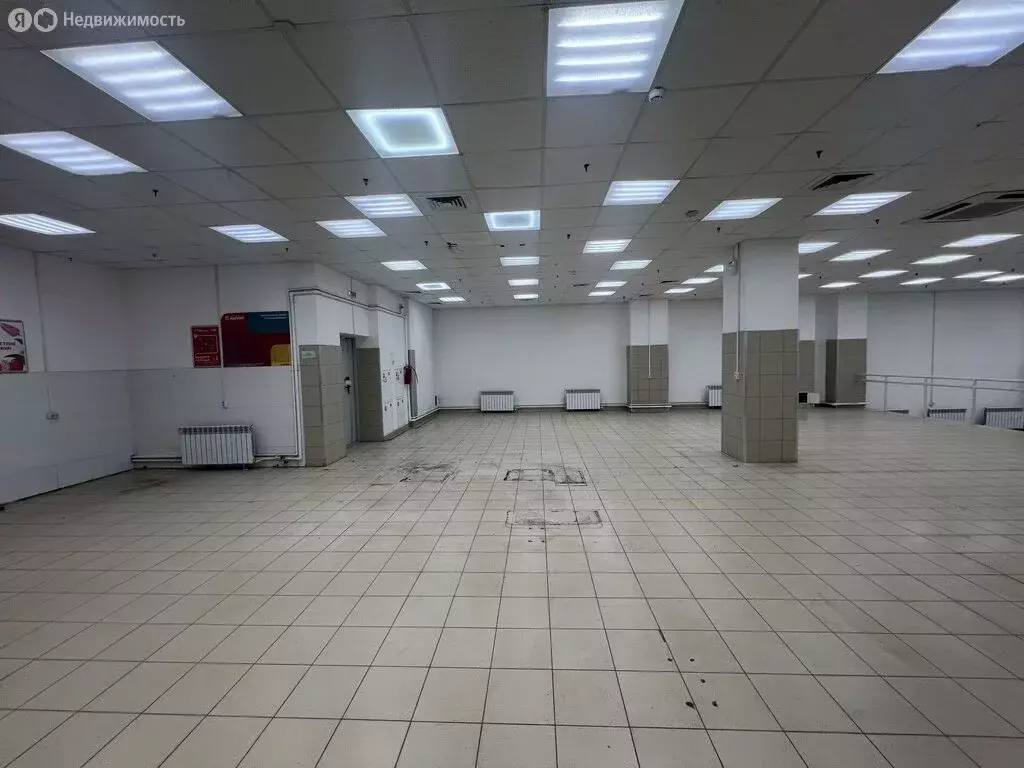 Помещение свободного назначения (430 м) - Фото 1