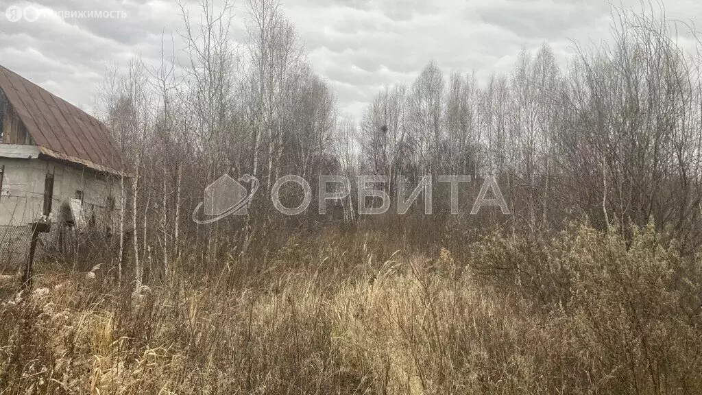 Участок в Нижнетавдинский район, СТ Фортуна (20 м) - Фото 1