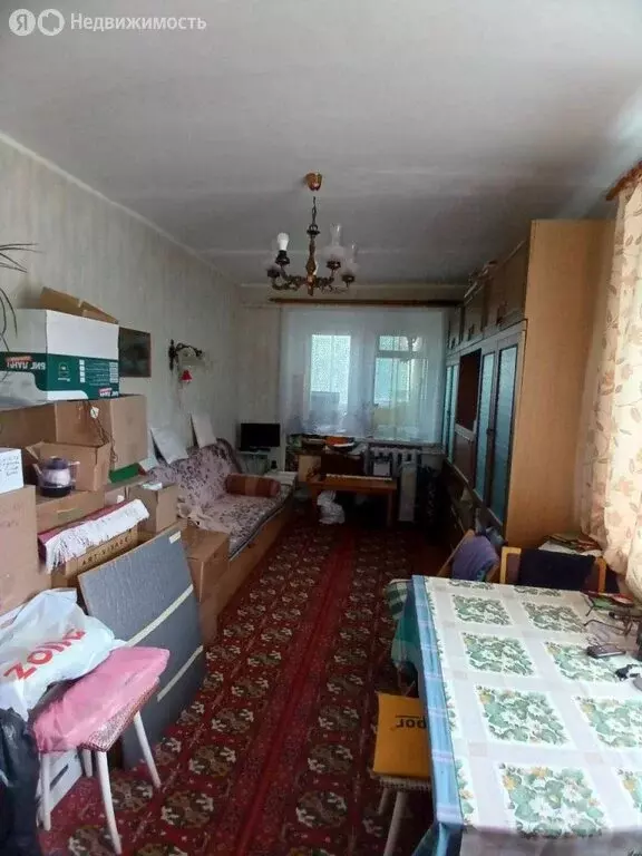 1-комнатная квартира: село Дуденево, улица Садоводов, 10 (38 м) - Фото 1