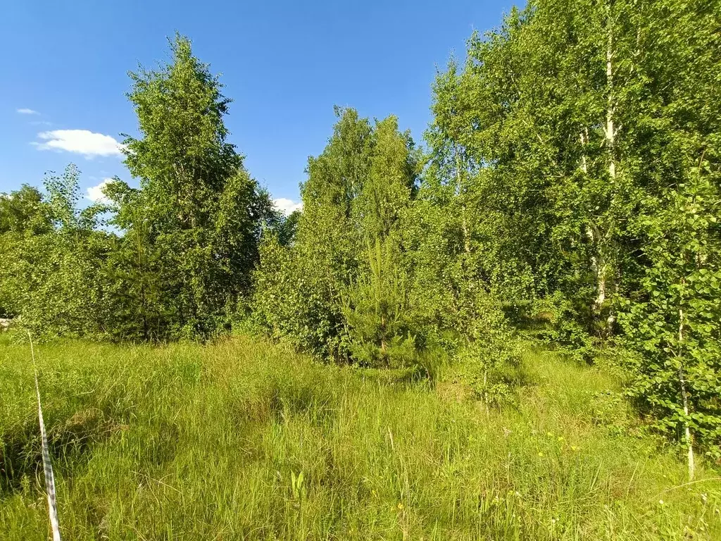 Участок в Курганская область, Курган пос. Южный,  (12.0 сот.) - Фото 0