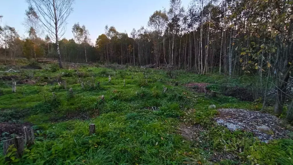 Участок в Московская область, Рузский муниципальный округ, д. ... - Фото 1