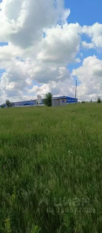 Участок в Воронежская область, Семилукский район, с. Девица Светлый ... - Фото 1
