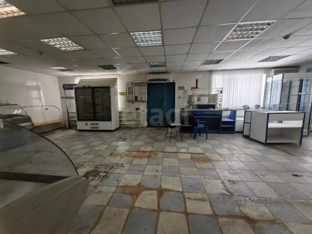 Торговая площадь в Воронежская область, Новоусманский район, пос. ... - Фото 1