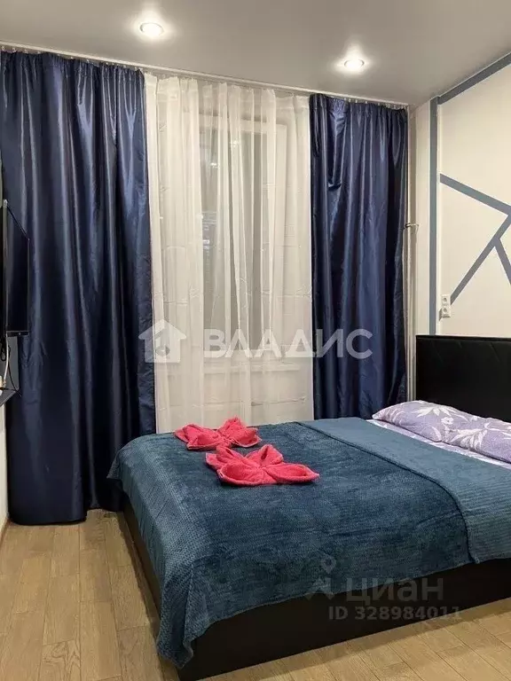 Студия Москва, Москва, Московский г. ул. Солнечная, 3Ас3 (16.8 м) - Фото 2