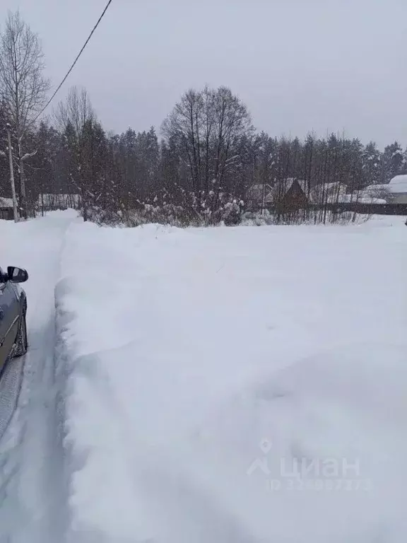 Участок в Московская область, Раменский муниципальный округ, Дорка СНТ ... - Фото 1