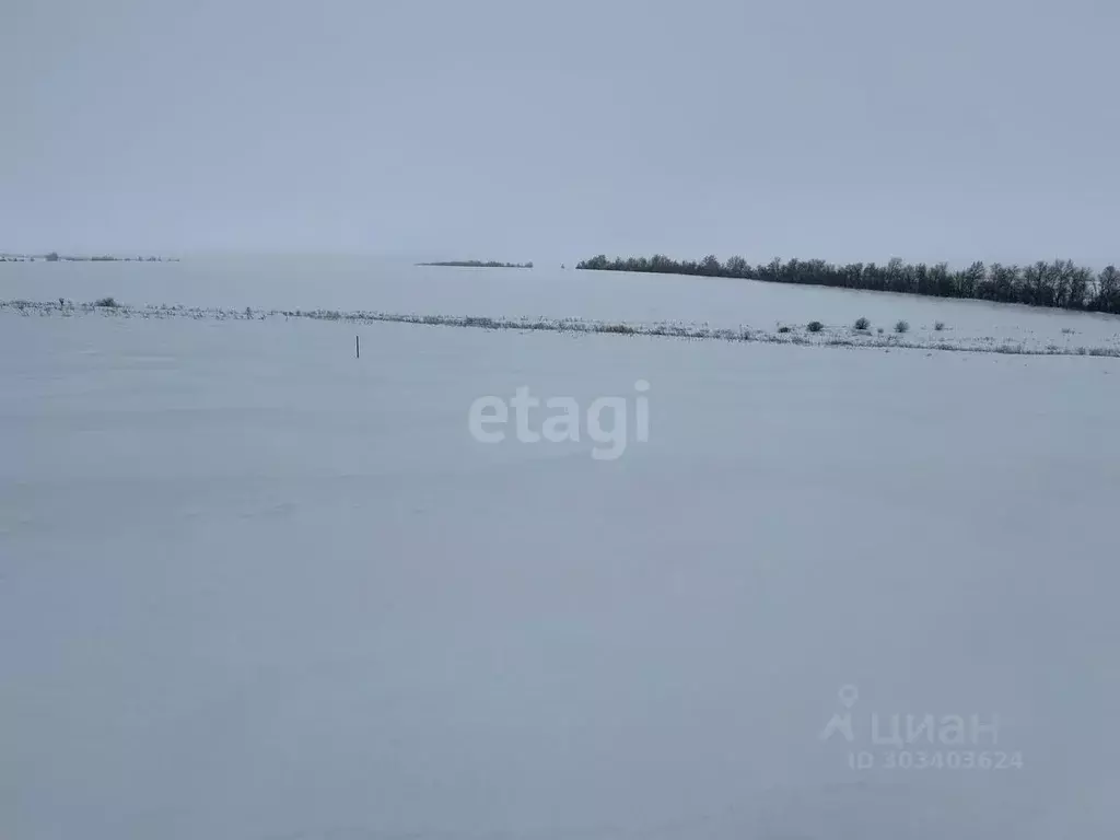 Участок в Липецкая область, Липецкий муниципальный округ, с. Частая ... - Фото 1