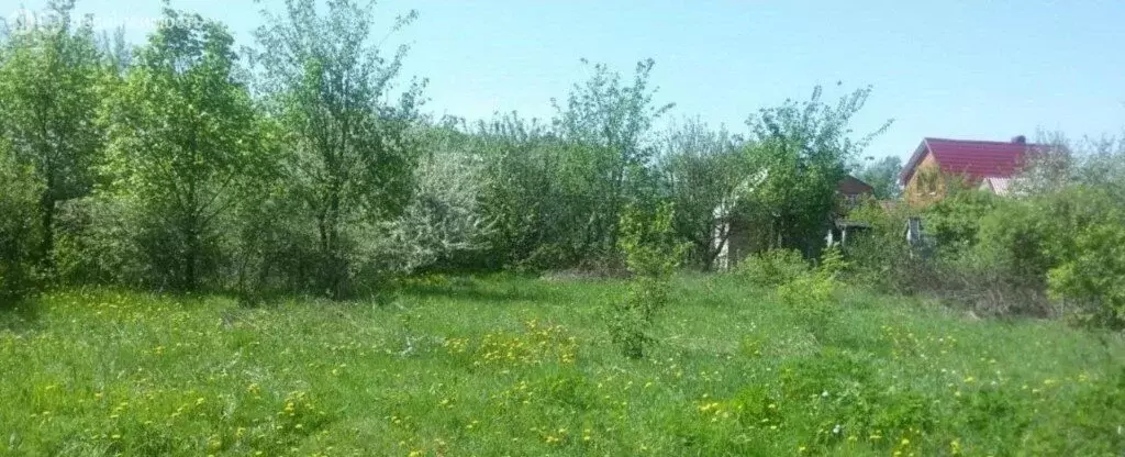 Участок в Красный Сулин, Центральная улица (7 м) - Фото 1