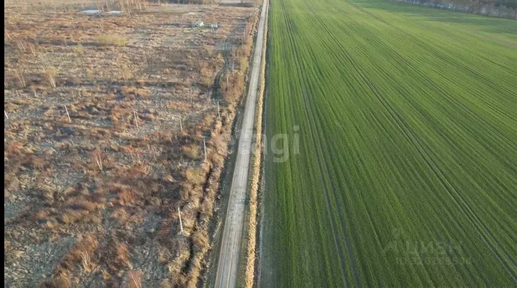 Участок в Калининградская область, Гвардейский муниципальный округ, ... - Фото 2