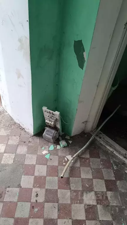 Помещение свободного назначения в Ленинградская область, Выборгский ... - Фото 1