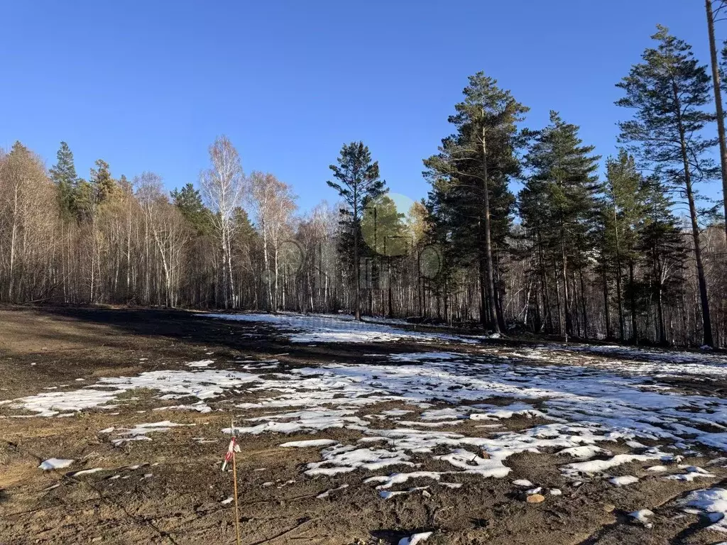 Участок в Иркутская область, Иркутский муниципальный округ, д. ... - Фото 2