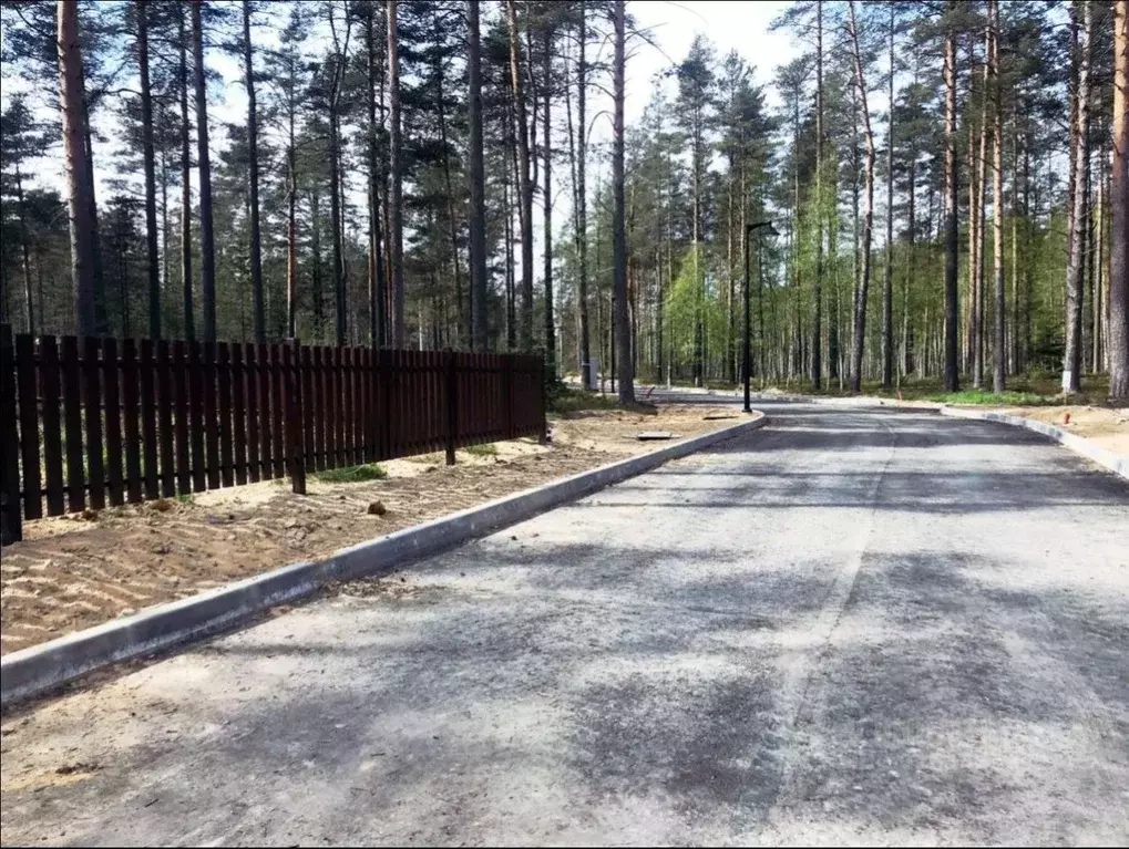 Участок в Ленинградская область, Приозерский район, Раздольевское ... - Фото 1