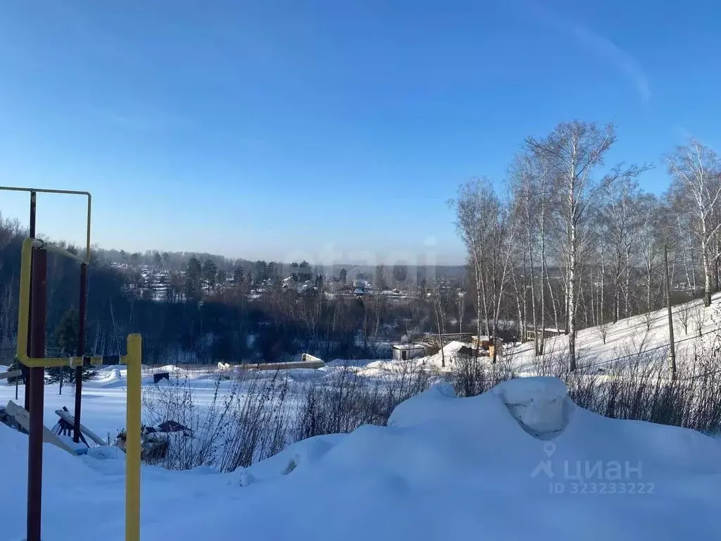 Участок в Новосибирская область, Новосибирский район, Барышевский ... - Фото 2
