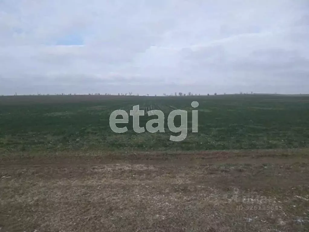 Участок в Крым, Сакский район, с. Фрунзе  (1000.0 сот.) - Фото 1