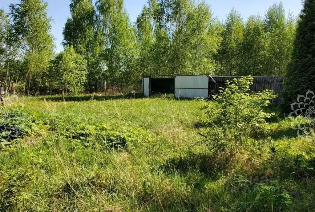 Участок в Московская область, Лосино-Петровский городской округ, д. ... - Фото 0