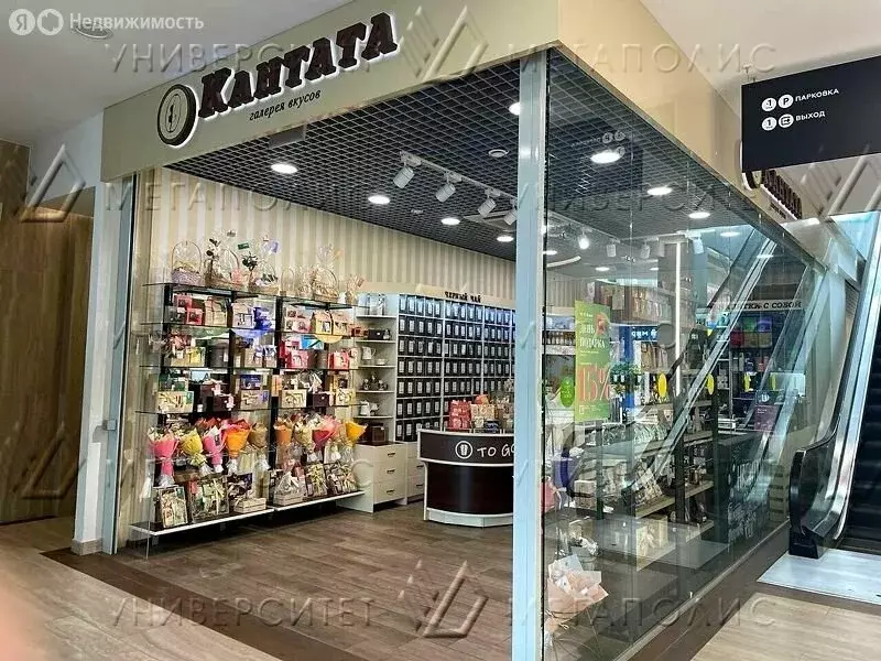 Помещение свободного назначения (34 м) - Фото 1