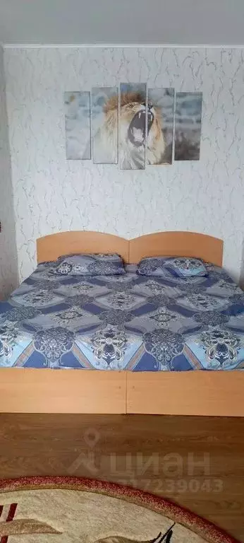 1-к кв. Нижегородская область, Выкса ул. Пушкина, 2А (35.0 м) - Фото 1