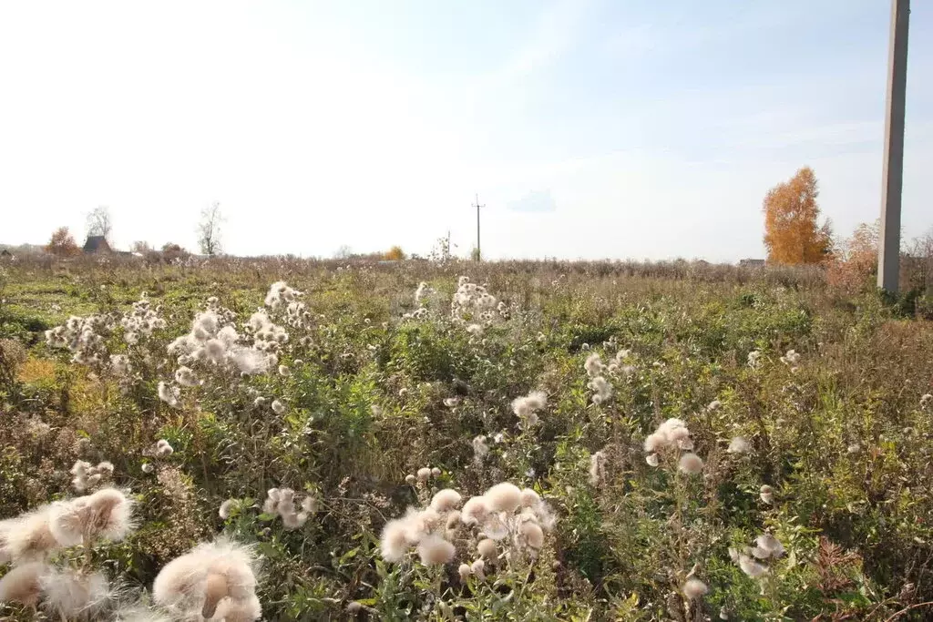 Участок в село Сокур, Садовая улица, 36 (27.8 м) - Фото 1