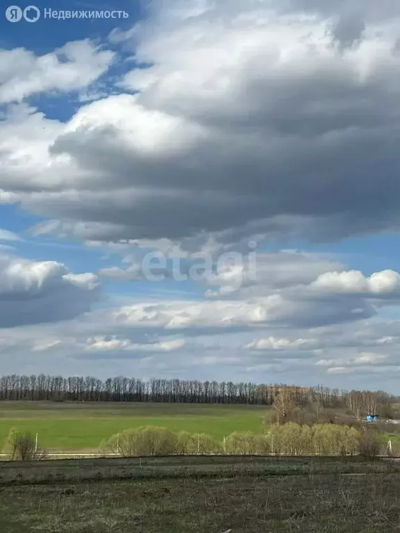 Участок в Тульская область, муниципальное образование Тула, деревня ... - Фото 0