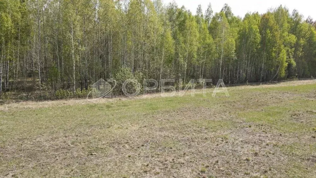 Участок в Свердловская область, Слободо-Туринский район, ... - Фото 1
