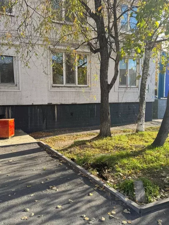 3-к кв. Амурская область, Тында ул. Красная Пресня, 24 (69.0 м) - Фото 1