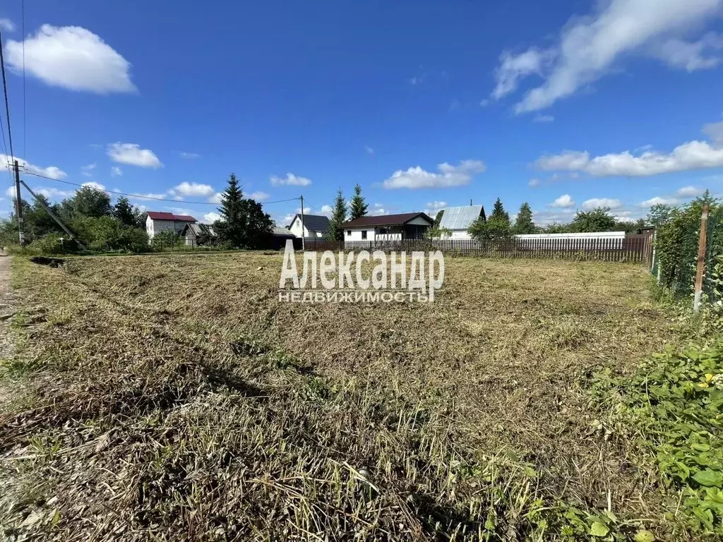 Участок в Ленинградская область, Кировское городское поселение, ... - Фото 1