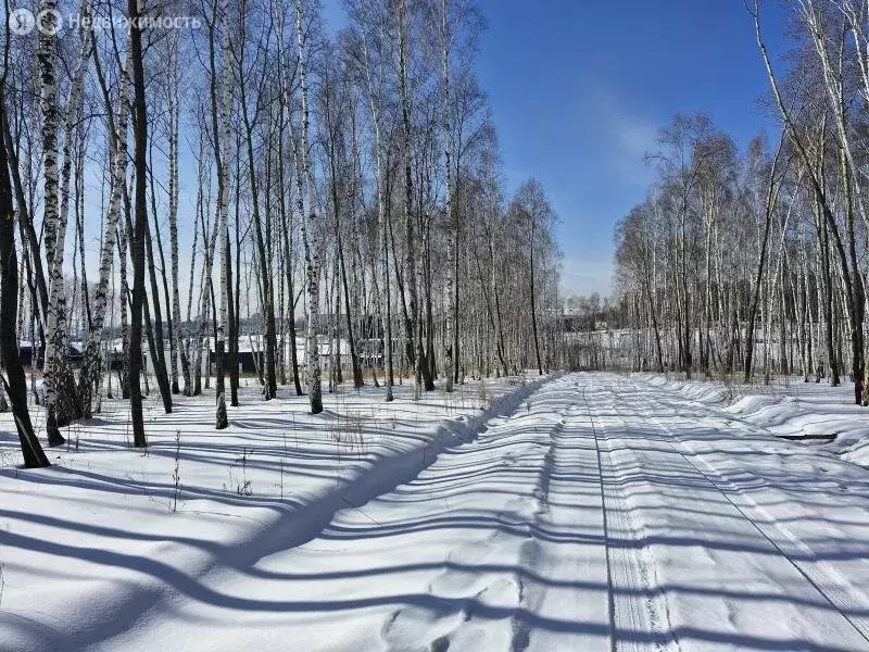 Участок в Иркутский муниципальный округ, Байкальский тракт, 9-й ... - Фото 1