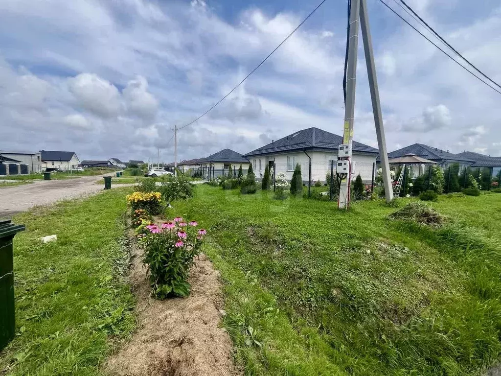 Участок в Калининградская область, Гурьевский муниципальный округ, ... - Фото 2