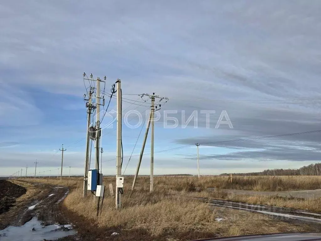Участок в Тюменская область, Тюменский муниципальный округ, ... - Фото 1