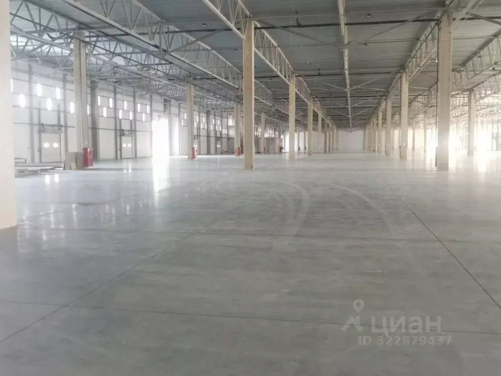 Склад в Московская область, Химки городской округ, с. Чашниково ул. ... - Фото 1