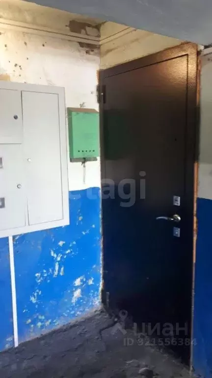 2-к кв. Белгородская область, Чернянский район, Орликовское с/пос, с. ... - Фото 2