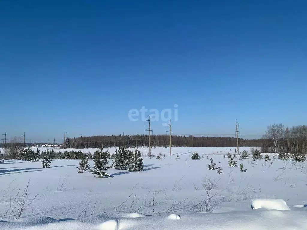 Участок в Кировская область, Кирово-Чепецкий район, Федяковское с/пос, ... - Фото 0