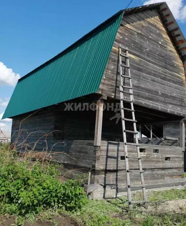 Участок в Новосибирская область, Мошковский район, с. Белоярка ... - Фото 1