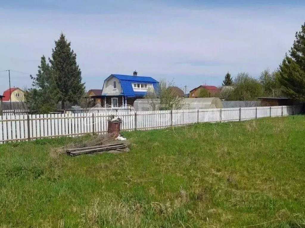 Участок в Тюменская область, Тюмень Садовое товарищество Липовый ... - Фото 1