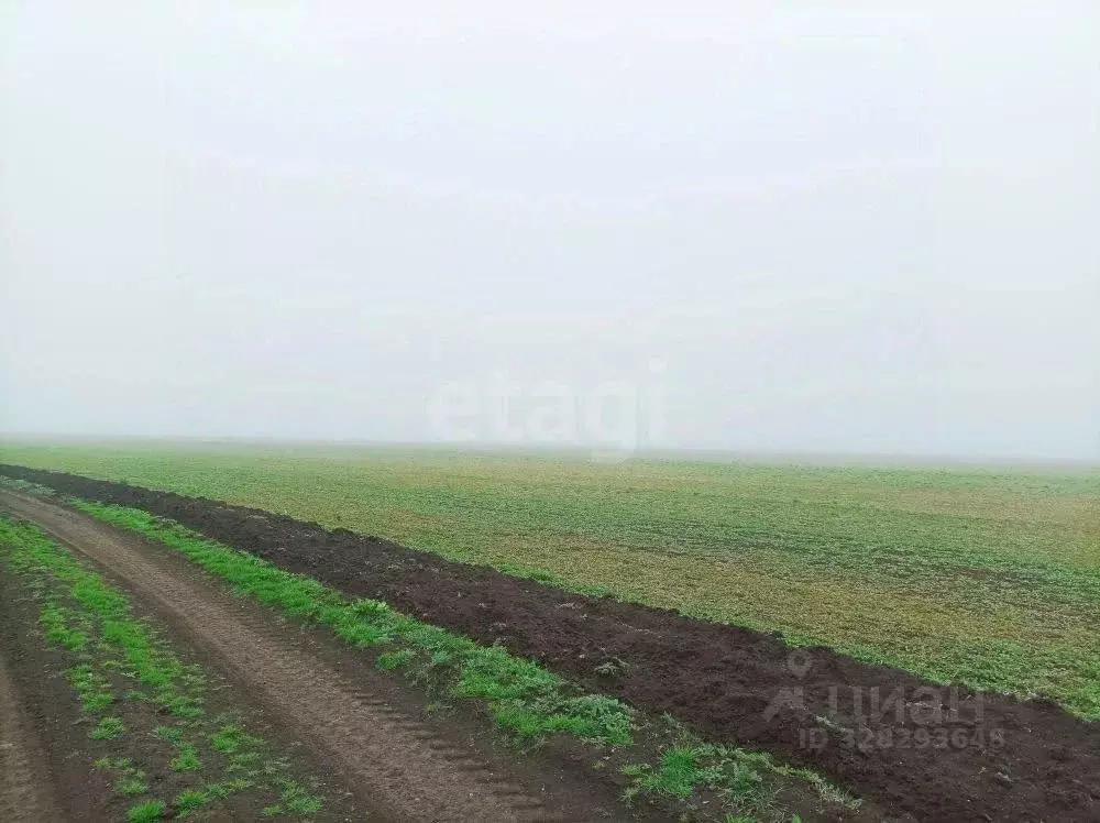 Участок в Крым, Ленинский район, с. Семисотка ул. Восточная (1064.2 ... - Фото 0