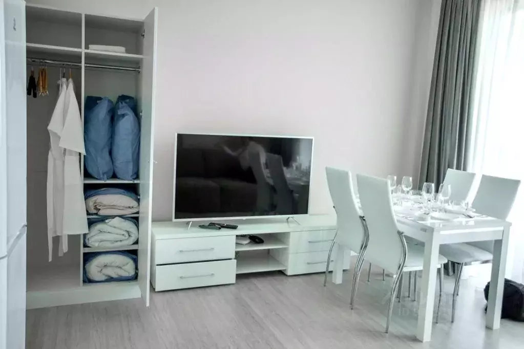 2-к кв. Краснодарский край, Сочи Курортный просп., 105 (55.0 м) - Фото 2